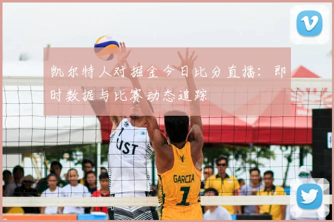 凯尔特人对掘金今日比分直播：即时数据与比赛动态追踪