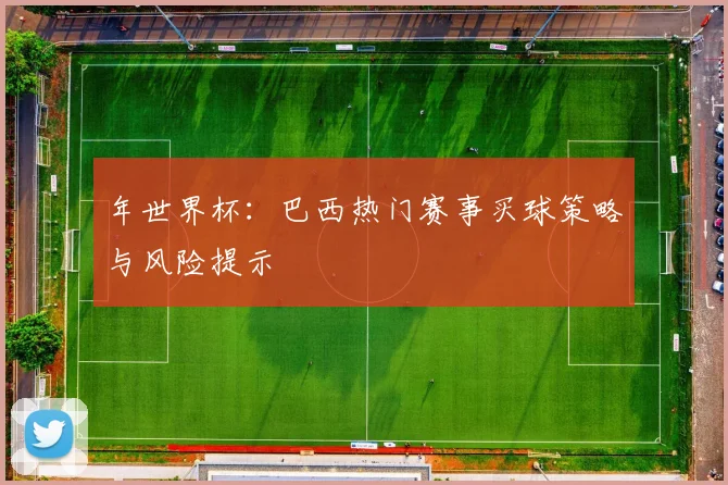 年世界杯：巴西热门赛事买球策略与风险提示