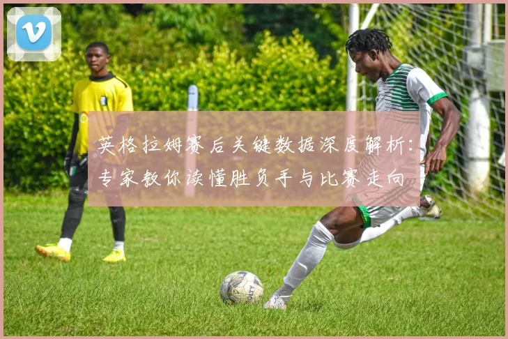 英格拉姆赛后关键数据深度解析：专家教你读懂胜负手与比赛走向
