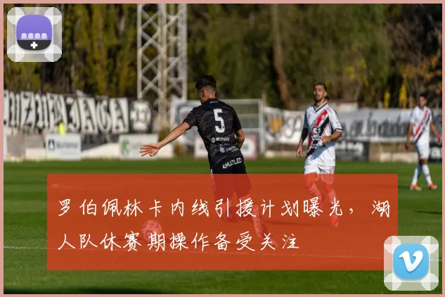 罗伯佩林卡内线引援计划曝光，湖人队休赛期操作备受关注