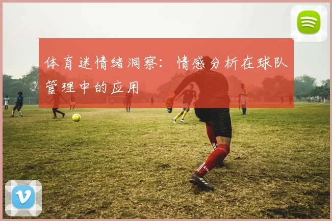 体育迷情绪洞察：情感分析在球队管理中的应用