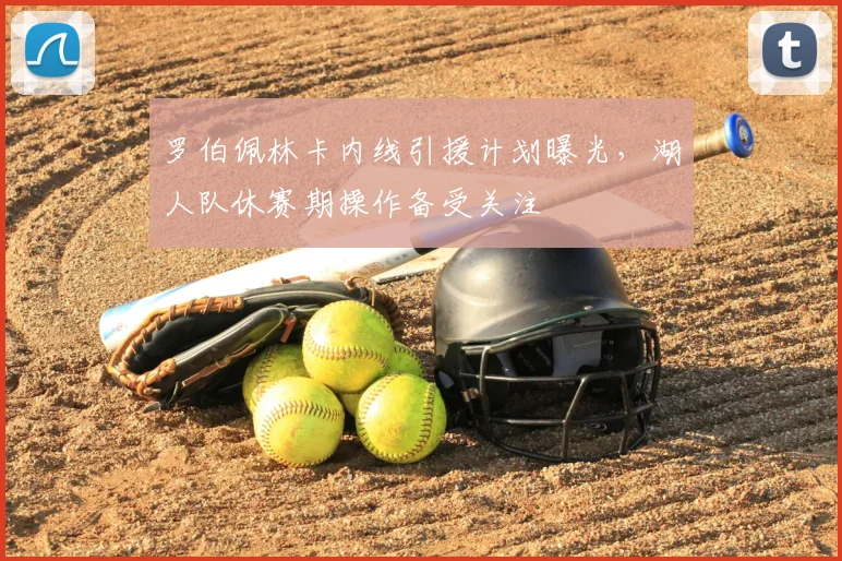 罗伯佩林卡内线引援计划曝光,湖人队休赛期操作备受关注