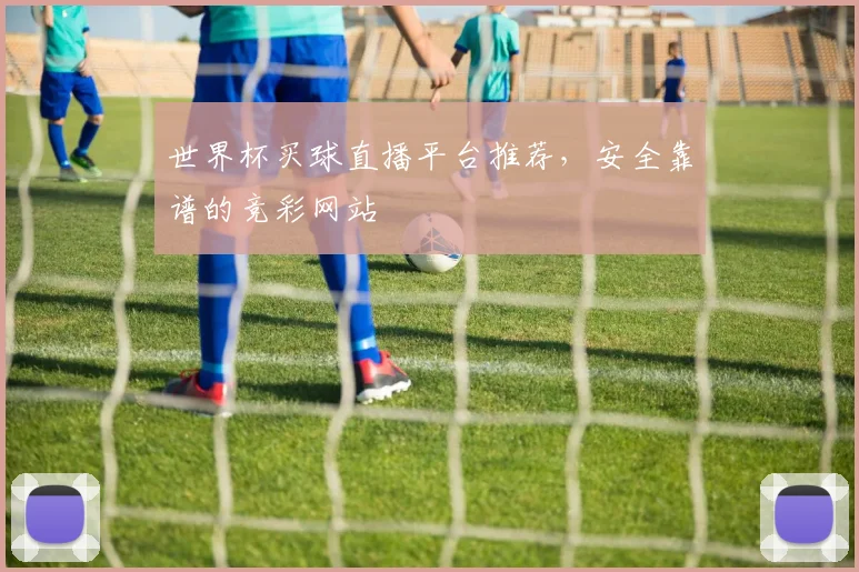 世界杯买球直播平台推荐，安全靠谱的竞彩网站